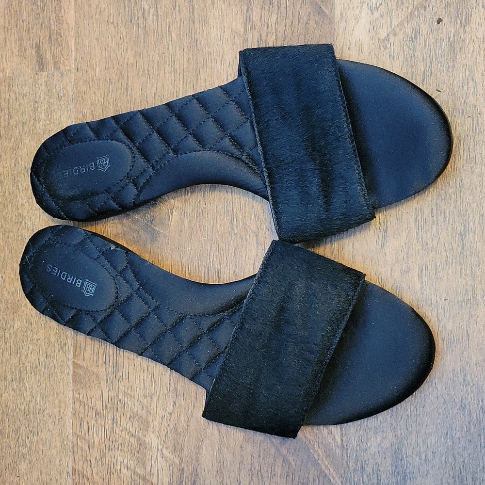 Birdies Sparrow Slides